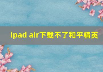 ipad air下载不了和平精英